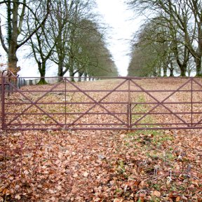 Double Parkland Gates
